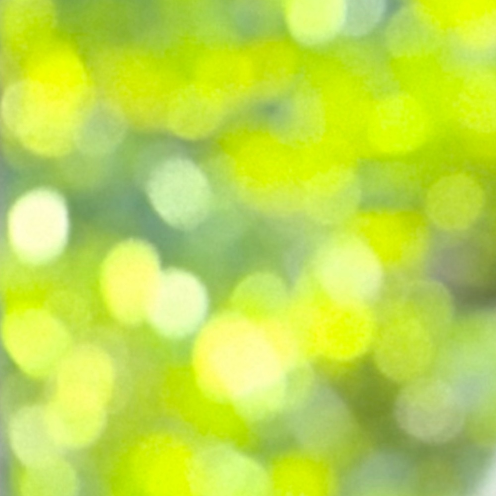 Meet your Posher, Joe